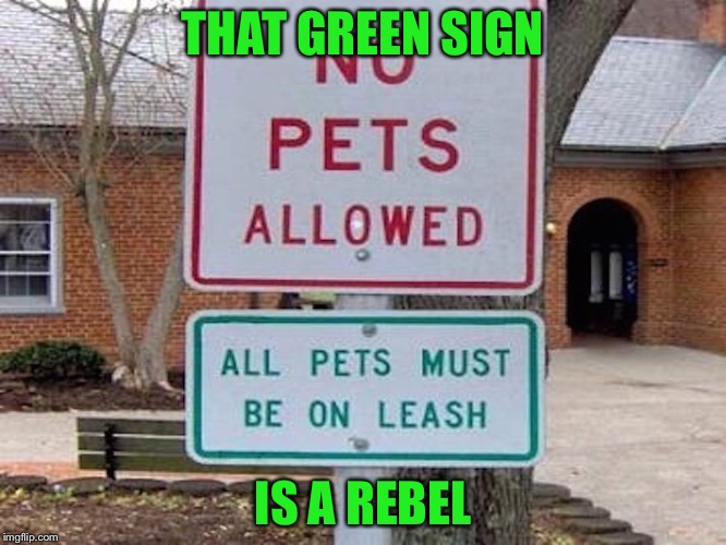He must click read more on youtube spam... | THAT GREEN SIGN; IS A REBEL | image tagged in funny signs,rebel,memes,funny | made w/ Imgflip meme maker