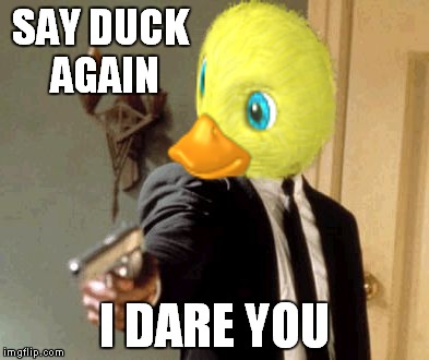 quack quack | SAY DUCK AGAIN; I DARE YOU | image tagged in say that again i dare you,duck face | made w/ Imgflip meme maker