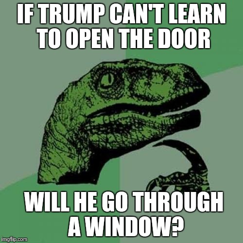 Philosoraptor Meme | IF TRUMP CAN'T LEARN TO OPEN THE DOOR WILL HE GO THROUGH A WINDOW? | image tagged in memes,philosoraptor | made w/ Imgflip meme maker