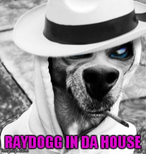 RAYDOGG IN DA HOUSE | made w/ Imgflip meme maker