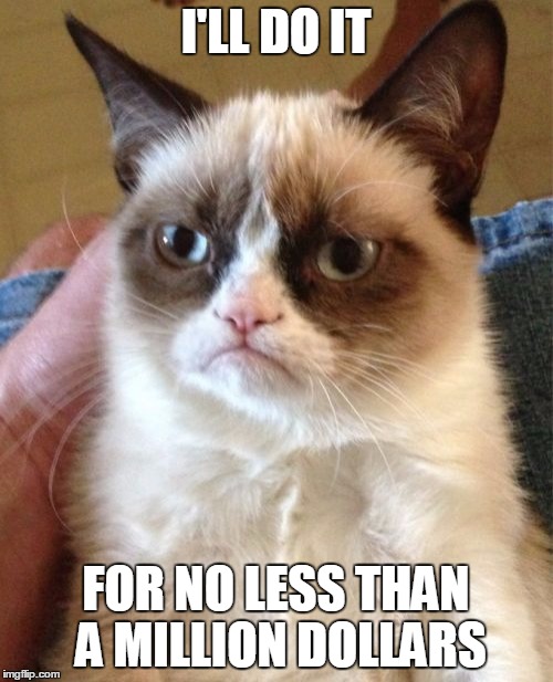 Grumpy Cat Meme | I'LL DO IT FOR NO LESS THAN A MILLION DOLLARS | image tagged in memes,grumpy cat | made w/ Imgflip meme maker