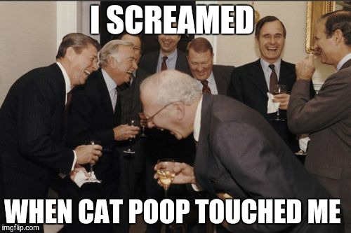 Laughing Men In Suits Meme | I SCREAMED; WHEN CAT POOP TOUCHED ME | image tagged in memes,laughing men in suits | made w/ Imgflip meme maker