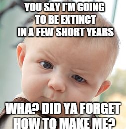 white babies becoming extinct? | YOU SAY I'M GOING TO BE EXTINCT IN A FEW SHORT YEARS; WHA? DID YA FORGET HOW TO MAKE ME? | image tagged in memes,skeptical baby,abortion,depopulation | made w/ Imgflip meme maker