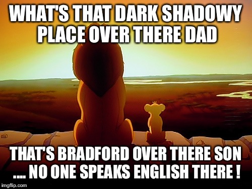 Lion King Meme | WHAT'S THAT DARK SHADOWY PLACE OVER THERE DAD; THAT'S BRADFORD OVER THERE SON .... NO ONE SPEAKS ENGLISH THERE ! | image tagged in memes,lion king | made w/ Imgflip meme maker