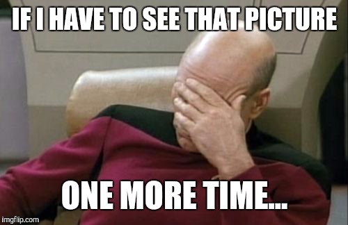 Captain Picard Facepalm Meme | IF I HAVE TO SEE THAT PICTURE ONE MORE TIME... | image tagged in memes,captain picard facepalm | made w/ Imgflip meme maker