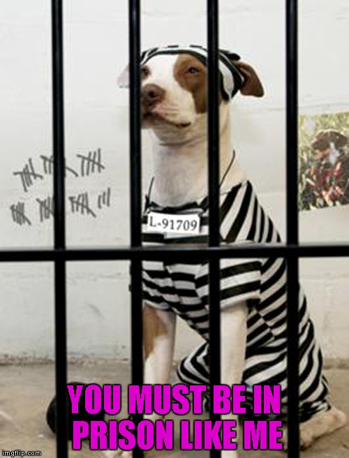 YOU MUST BE IN PRISON LIKE ME | made w/ Imgflip meme maker
