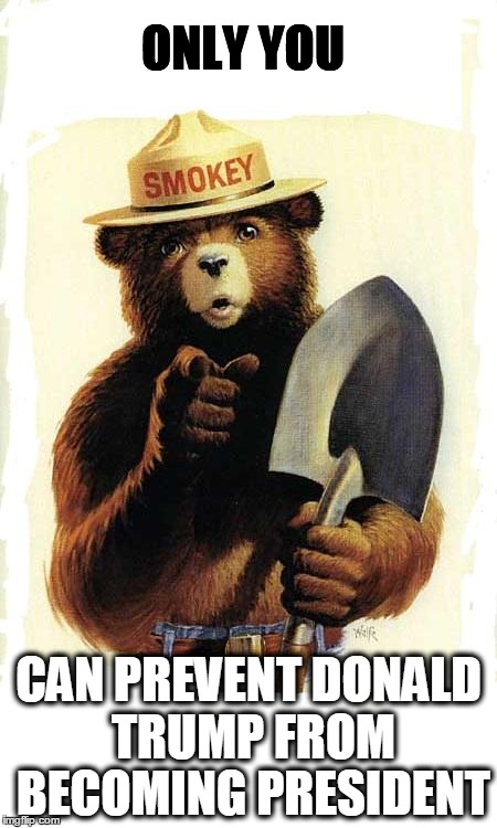 Smokey The Bear | ONLY YOU; CAN PREVENT DONALD TRUMP FROM BECOMING PRESIDENT | image tagged in smokey the bear | made w/ Imgflip meme maker