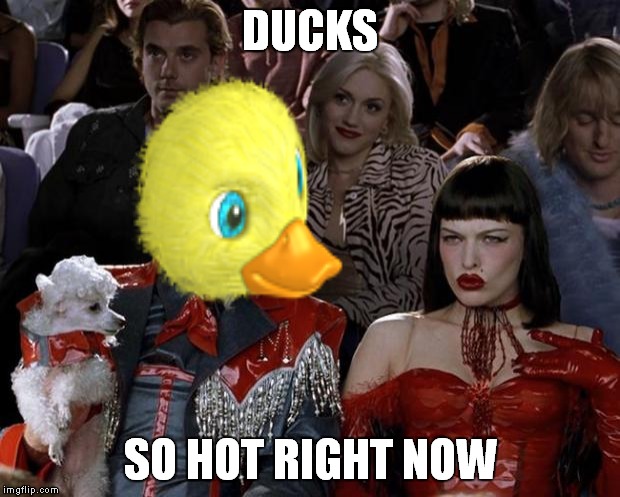 DUCKS; SO HOT RIGHT NOW | image tagged in so hot right now | made w/ Imgflip meme maker