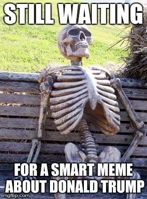 Waiting Skeleton | STILL WAITING; FOR A SMART MEME ABOUT DONALD TRUMP | image tagged in memes,waiting skeleton | made w/ Imgflip meme maker