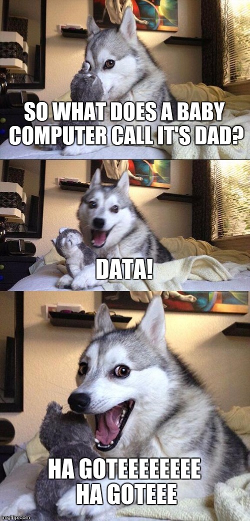 Bad Pun Dog Meme | SO WHAT DOES A BABY COMPUTER CALL IT'S DAD? DATA! HA GOTEEEEEEEE HA GOTEEE | image tagged in memes,bad pun dog | made w/ Imgflip meme maker