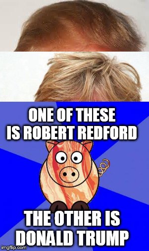 Pick your poison... | ONE OF THESE IS ROBERT REDFORD; THE OTHER IS DONALD TRUMP | image tagged in donald trump,robert redford,memes,funny | made w/ Imgflip meme maker