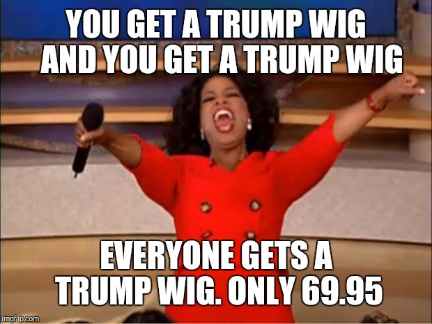 Oprah You Get A Meme | YOU GET A TRUMP WIG 
AND YOU GET A TRUMP WIG EVERYONE GETS A TRUMP WIG. ONLY 69.95 | image tagged in memes,oprah you get a | made w/ Imgflip meme maker