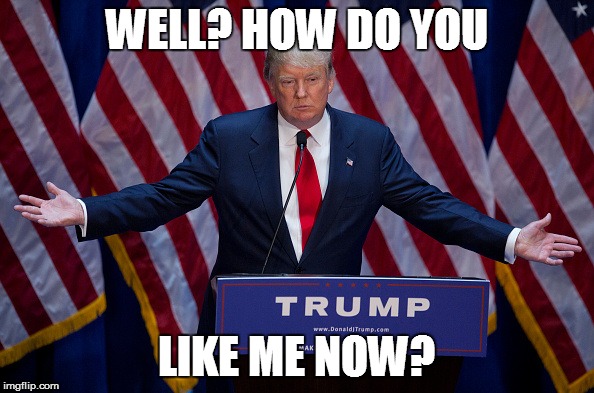 Donald Trump | WELL? HOW DO YOU; LIKE ME NOW? | image tagged in donald trump | made w/ Imgflip meme maker