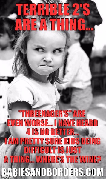 Angry Toddler Meme | TERRIBLE 2'S ARE A THING... "THREENAGER'S" ARE EVEN WORSE... I HAVE HEARD 4 IS NO BETTER... I AM PRETTY SURE KIDS BEING DIFFICULT IS JUST A THING... WHERE'S THE WINE? BABIESANDBORDERS.COM | image tagged in memes,angry toddler | made w/ Imgflip meme maker