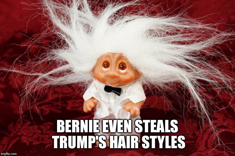 Wish Nik | BERNIE EVEN STEALS TRUMP'S HAIR STYLES | image tagged in wish nik | made w/ Imgflip meme maker