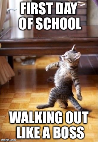 Cool Cat Stroll | FIRST DAY OF SCHOOL; WALKING OUT LIKE A BOSS | image tagged in memes,cool cat stroll | made w/ Imgflip meme maker