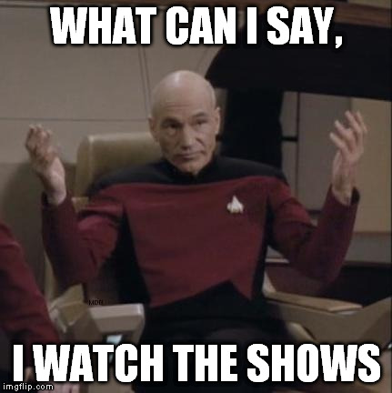 WHAT CAN I SAY, I WATCH THE SHOWS | image tagged in picard hands apart | made w/ Imgflip meme maker