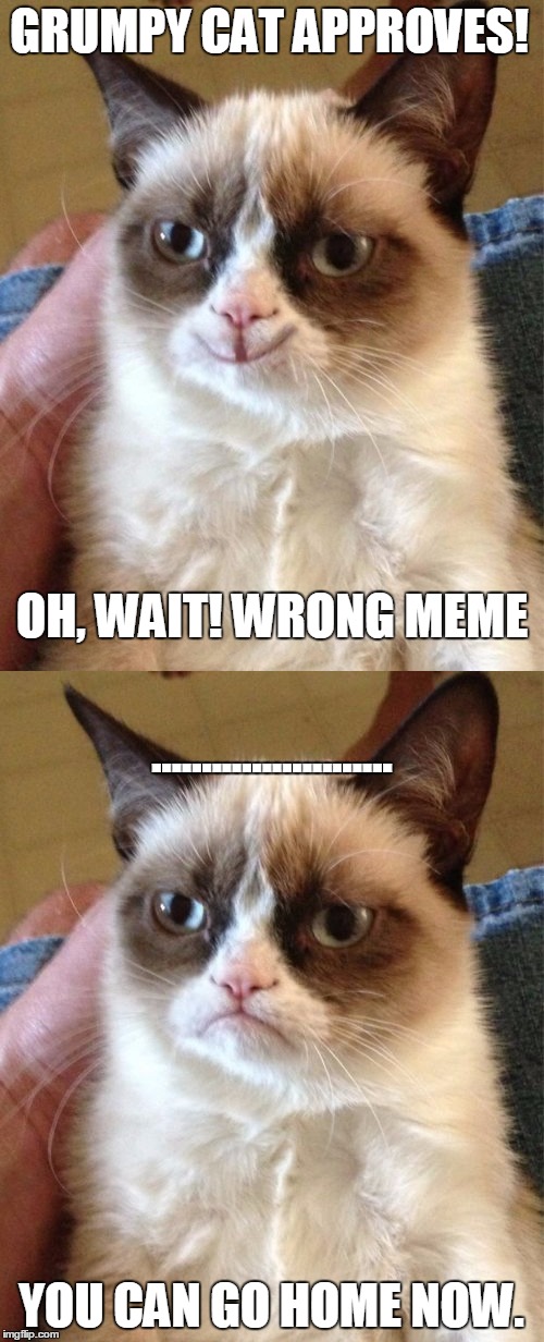 Come on, it's funny! | GRUMPY CAT APPROVES! OH, WAIT! WRONG MEME; ........................ YOU CAN GO HOME NOW. | image tagged in grumpy cat,mistake | made w/ Imgflip meme maker