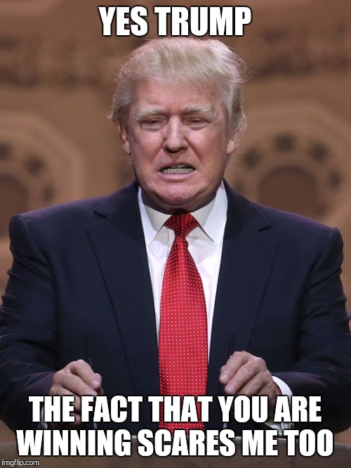 Donald Trump | YES TRUMP; THE FACT THAT YOU ARE WINNING SCARES ME TOO | image tagged in donald trump | made w/ Imgflip meme maker