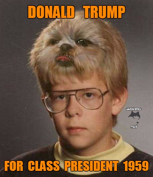 Trump for Junior High class President | DONALD   TRUMP; FOR  CLASS  PRESIDENT  1959 | image tagged in trump 10,funny | made w/ Imgflip meme maker
