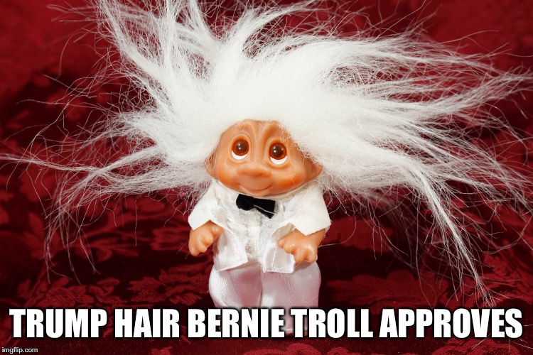 Wish Nik | TRUMP HAIR BERNIE TROLL APPROVES | image tagged in wish nik | made w/ Imgflip meme maker