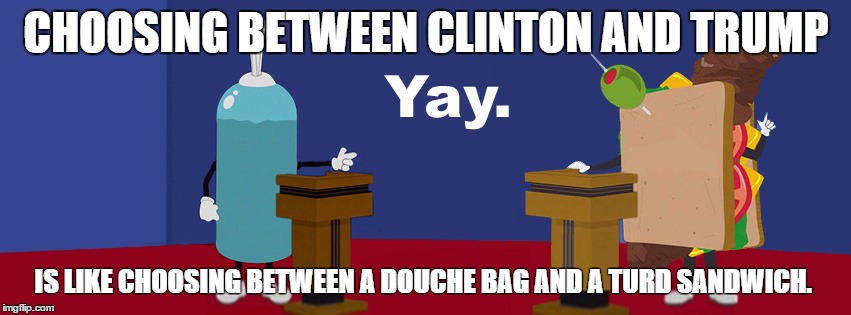 CHOOSING BETWEEN CLINTON AND TRUMP; IS LIKE CHOOSING BETWEEN A DOUCHE BAG AND A TURD SANDWICH. | image tagged in hillary clinton 2016,donald trump,politics,political,douchebag | made w/ Imgflip meme maker