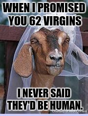 muslim goat | WHEN I PROMISED YOU 62 VIRGINS; I NEVER SAID THEY'D BE HUMAN. | image tagged in muslim goat | made w/ Imgflip meme maker