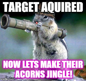 Bazooka Squirrel Meme | TARGET AQUIRED; NOW LETS MAKE THEIR ACORNS JINGLE! | image tagged in memes,bazooka squirrel | made w/ Imgflip meme maker
