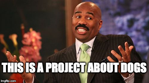 THIS IS A PROJECT ABOUT DOGS | image tagged in memes,steve harvey | made w/ Imgflip meme maker