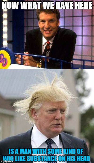 Wig Like Substance | NOW WHAT WE HAVE HERE; IS A MAN WITH SOME KIND OF WIG LIKE SUBSTANCE ON HIS HEAD | image tagged in marc summers,double dare,donald trump,wig,like,substance | made w/ Imgflip meme maker