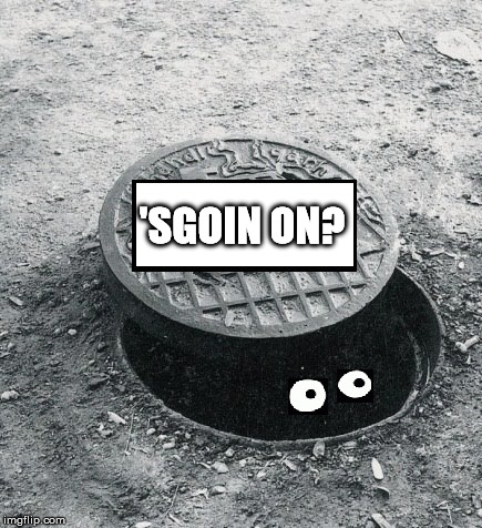 the thing in the hole | 'SGOIN ON? | image tagged in the thing in the hole | made w/ Imgflip meme maker