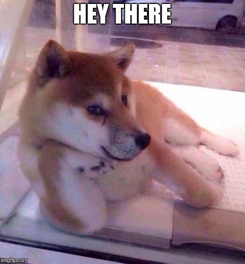 Flirting Doge | HEY THERE | image tagged in flirting doge | made w/ Imgflip meme maker