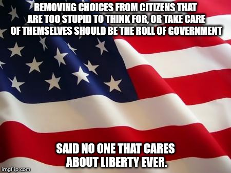 American flag | REMOVING CHOICES FROM CITIZENS THAT ARE TOO STUPID TO THINK FOR, OR TAKE CARE OF THEMSELVES SHOULD BE THE ROLL OF GOVERNMENT; SAID NO ONE THAT CARES ABOUT LIBERTY EVER. | image tagged in american flag | made w/ Imgflip meme maker