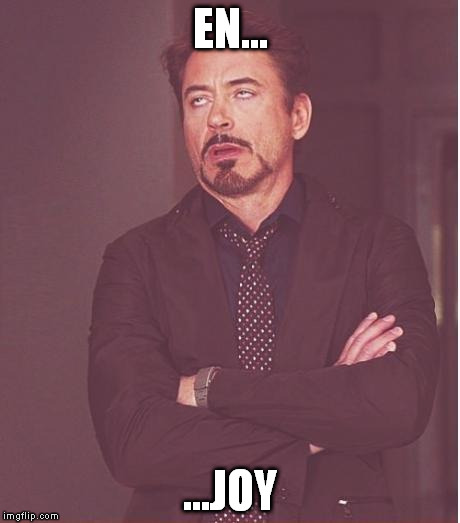 Face You Make Robert Downey Jr Meme | EN... ...JOY | image tagged in memes,face you make robert downey jr | made w/ Imgflip meme maker