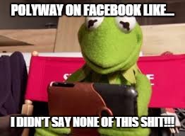 POLYWAY ON FACEBOOK LIKE... I DIDN'T SAY NONE OF THIS SHIT!!! | image tagged in facebook | made w/ Imgflip meme maker