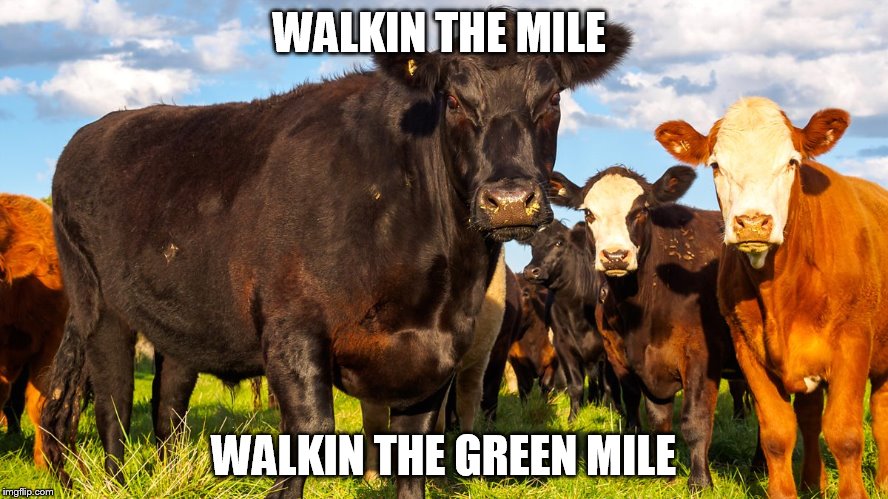 WALKIN THE MILE WALKIN THE GREEN MILE | made w/ Imgflip meme maker