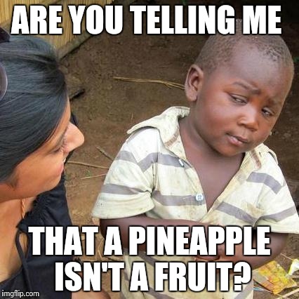Third World Skeptical Kid Meme | ARE YOU TELLING ME THAT A PINEAPPLE ISN'T A FRUIT? | image tagged in memes,third world skeptical kid | made w/ Imgflip meme maker