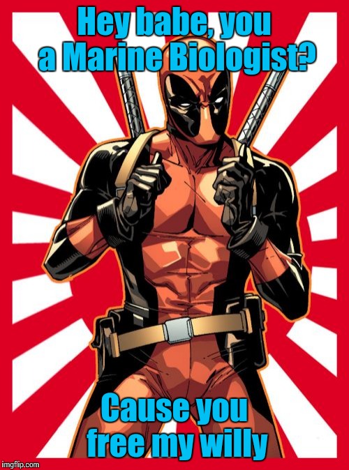 Deadpool Pick Up Lines Meme | Hey babe, you a Marine Biologist? Cause you free my willy | image tagged in memes,deadpool pick up lines,trhtimmy,marine biologist be like | made w/ Imgflip meme maker