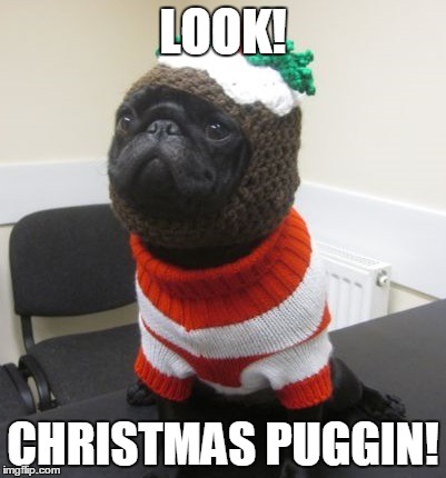 LOOK! CHRISTMAS PUGGIN! | image tagged in pugs,christmas | made w/ Imgflip meme maker