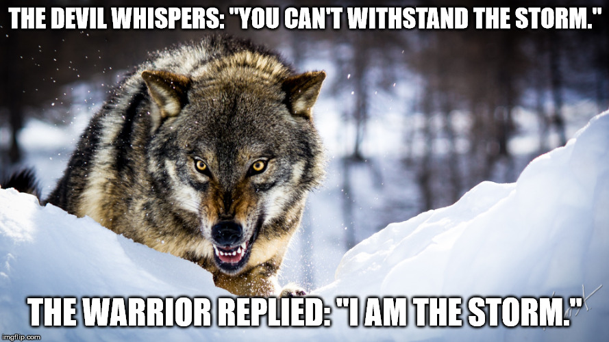 Wolf 1 | THE DEVIL WHISPERS: "YOU CAN'T WITHSTAND THE STORM."; THE WARRIOR REPLIED: "I AM THE STORM." | image tagged in wolf,storm | made w/ Imgflip meme maker