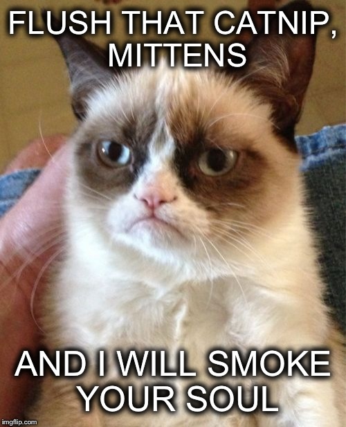 Grumpy Cat Meme | FLUSH THAT CATNIP, MITTENS AND I WILL SMOKE YOUR SOUL | image tagged in memes,grumpy cat | made w/ Imgflip meme maker