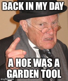 Back In My Day Meme | BACK IN MY DAY; A HOE WAS A GARDEN TOOL | image tagged in memes,back in my day | made w/ Imgflip meme maker