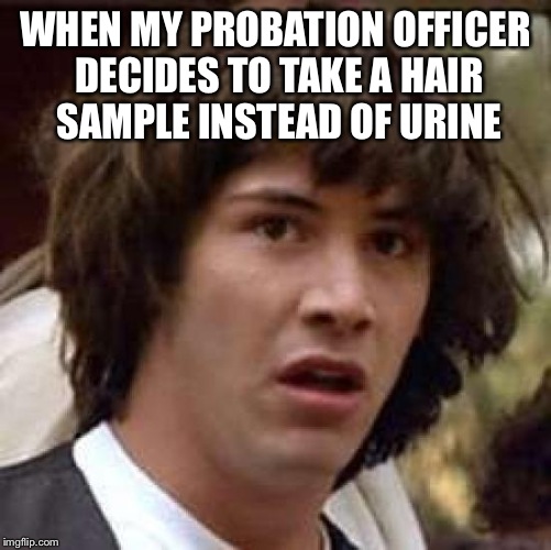 Conspiracy Keanu | WHEN MY PROBATION OFFICER DECIDES TO TAKE A HAIR SAMPLE INSTEAD OF URINE | image tagged in memes,conspiracy keanu | made w/ Imgflip meme maker