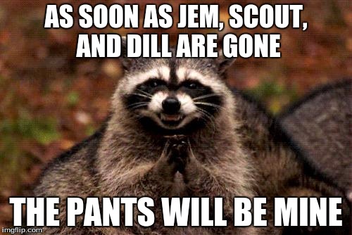 Evil Plotting Raccoon | AS SOON AS JEM, SCOUT, AND DILL ARE GONE; THE PANTS WILL BE MINE | image tagged in memes,evil plotting raccoon | made w/ Imgflip meme maker