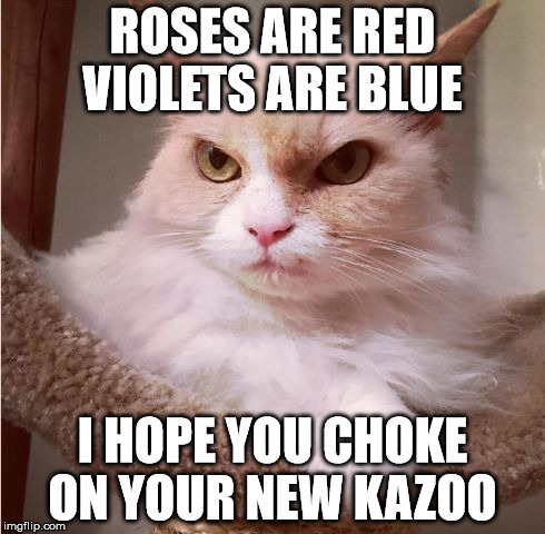 roses are red  | ROSES ARE RED VIOLETS ARE BLUE; I HOPE YOU CHOKE ON YOUR NEW KAZOO | image tagged in discounted grumpy cat | made w/ Imgflip meme maker