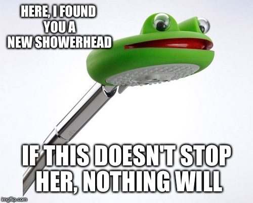 HERE, I FOUND YOU A NEW SHOWERHEAD IF THIS DOESN'T STOP HER, NOTHING WILL | made w/ Imgflip meme maker