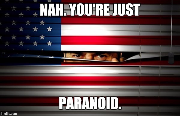 NAH. YOU'RE JUST PARANOID. | made w/ Imgflip meme maker