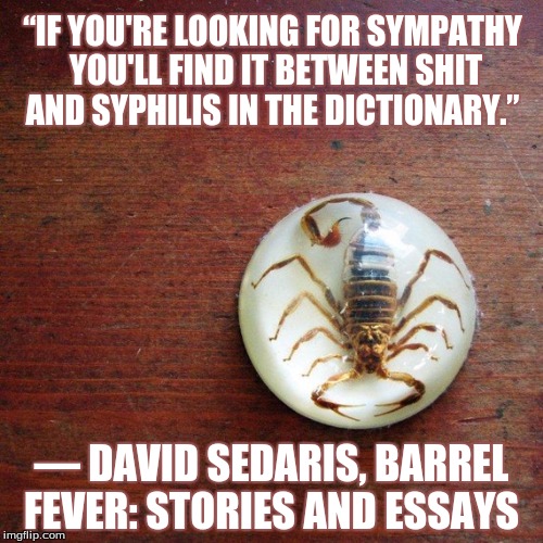 Fancy little shit-heads! | “IF YOU'RE LOOKING FOR SYMPATHY YOU'LL FIND IT BETWEEN SHIT AND SYPHILIS IN THE DICTIONARY.”; ― DAVID SEDARIS, BARREL FEVER: STORIES AND ESSAYS | image tagged in david sedaris,barrel fever,stories and essays,randy sykes,annette kelper | made w/ Imgflip meme maker
