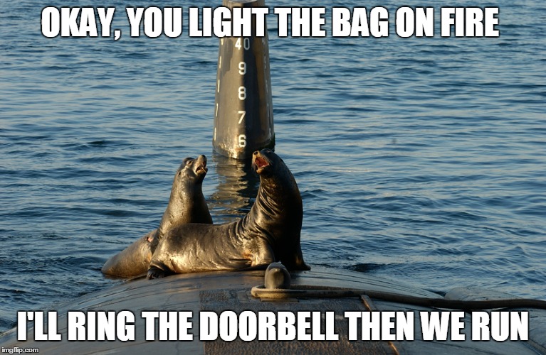 OKAY, YOU LIGHT THE BAG ON FIRE I'LL RING THE DOORBELL THEN WE RUN | made w/ Imgflip meme maker