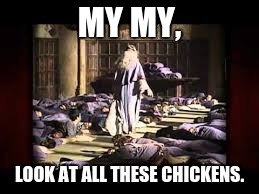 Harry Pootter | MY MY, LOOK AT ALL THESE CHICKENS. | image tagged in harry potter | made w/ Imgflip meme maker